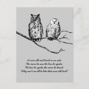 Wise Owl Wisdom Postcard