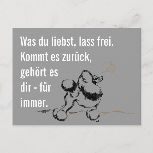 Wise Poodle Postcard (Front)