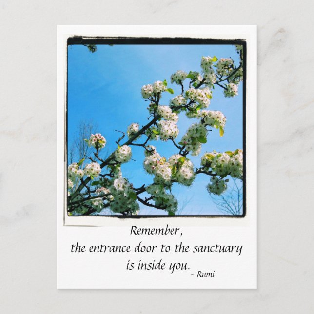 Wise Quotes Spring Floral Postcard (Front)