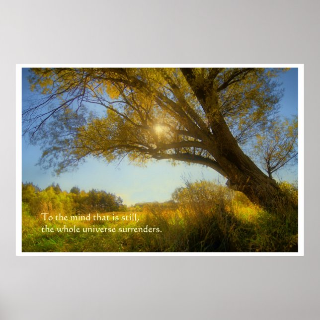 Wise tree poster (Front)