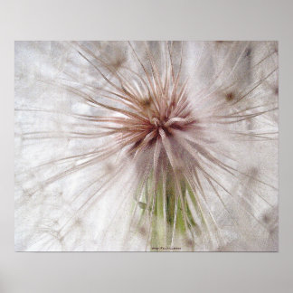 Wish Fulfilment Poster