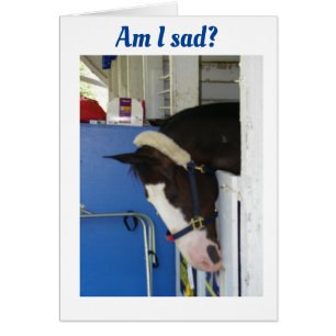 WISH I COULD SAY *HAPPY BIRTHDAY* IN PERSON TO YOU