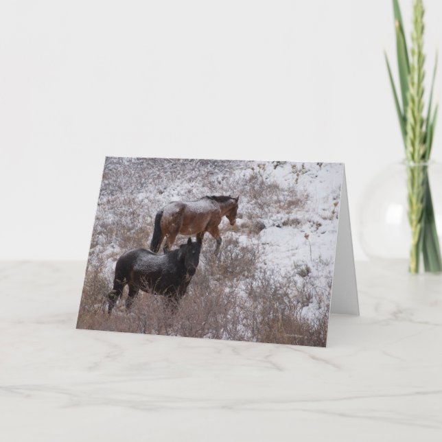 Wish we were spending Christmas with you. Holiday Card (Front)