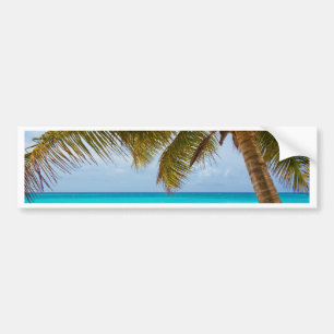 Wish you were here! bumper sticker