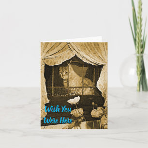Wish You Were Here~Cat in Window Card