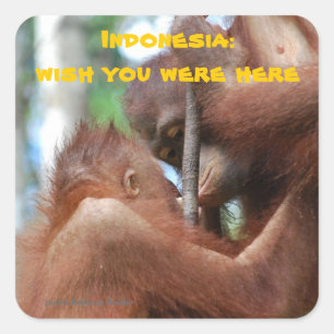Wish You Were Here from Indonesia Square Sticker