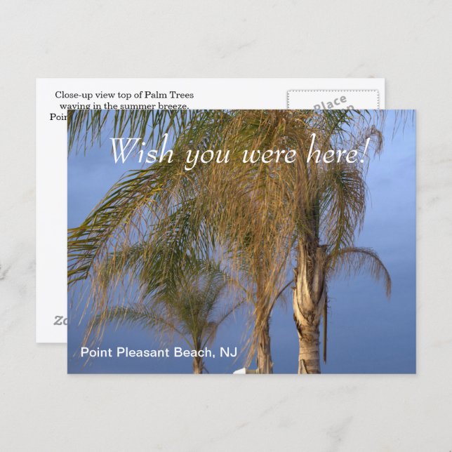 Wish you were here Point Pleasant Beach NJ Postcard (Front/Back)