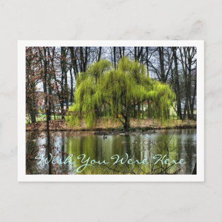 Wish You Were Here Postcard