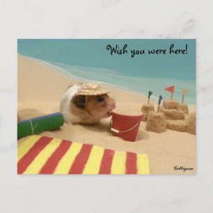 Wish you were here! postcard