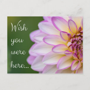 Wish you were here... postcard