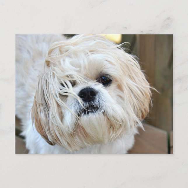 wish you were here postcard (Front)