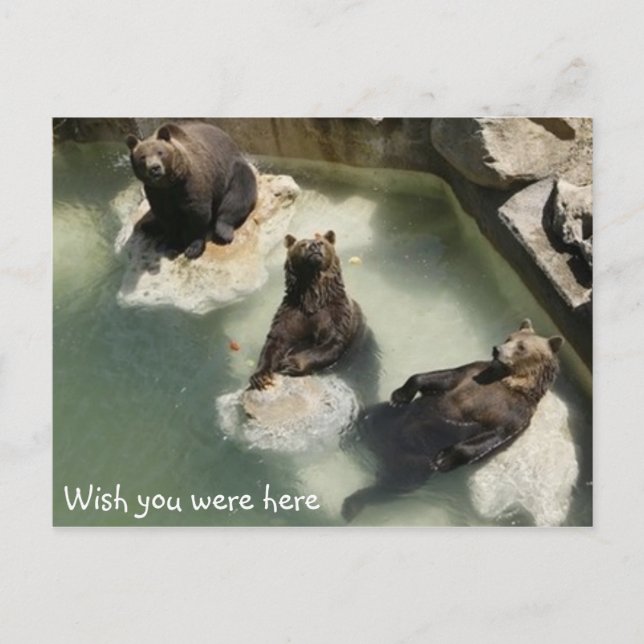Wish you were here postcard (Front)