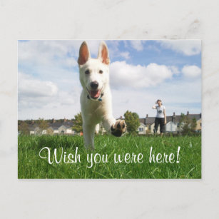 Wish you were here! postcard