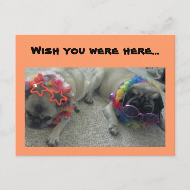 Wish you were here...Postcard Postcard (Front)