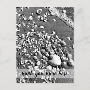 WISH YOU WERE HERE Seashells Beach Black & White Postcard