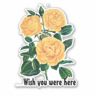 Wish you were here, Yellow Roses design