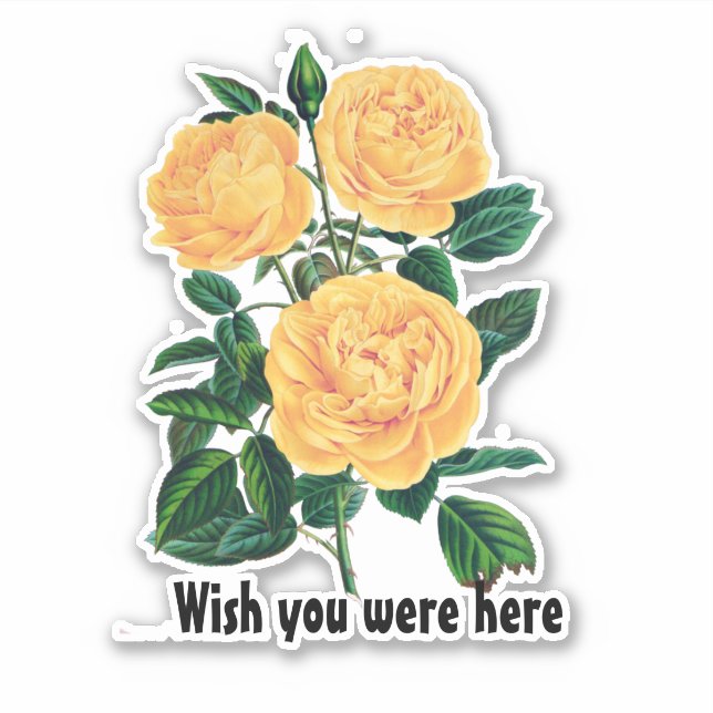 Wish you were here, Yellow Roses design (Front)