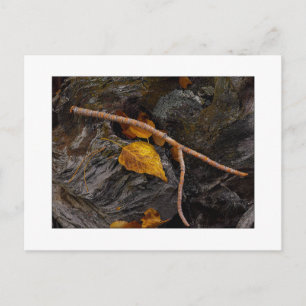 "Wishbone" Postcard