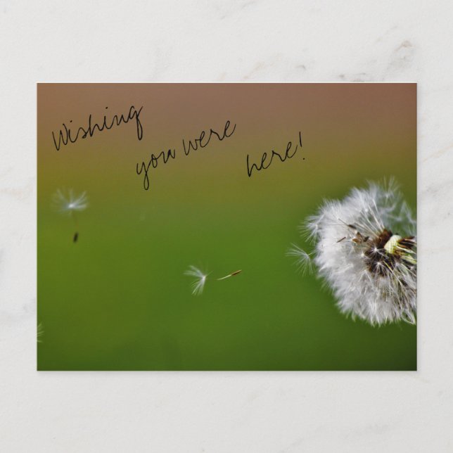 Wishes Postcard (Front)