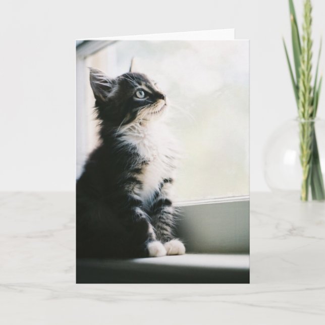 Wishful Thinking Greeting Card (Front)