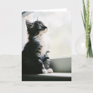 Wishful Thinking Greeting Card