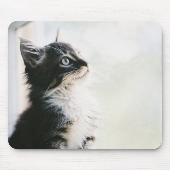 Wishful Thinking Mouse Mat (Front)