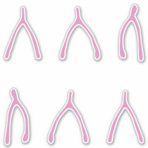 Wishing Bones   Cute Pink Wishbone