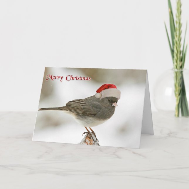 Wishing Happy Holiday Christmas Bird Santa Hat Card (Front)