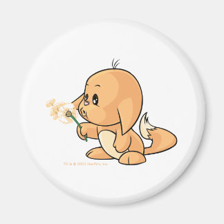 Wishing orange Kacheek Magnet