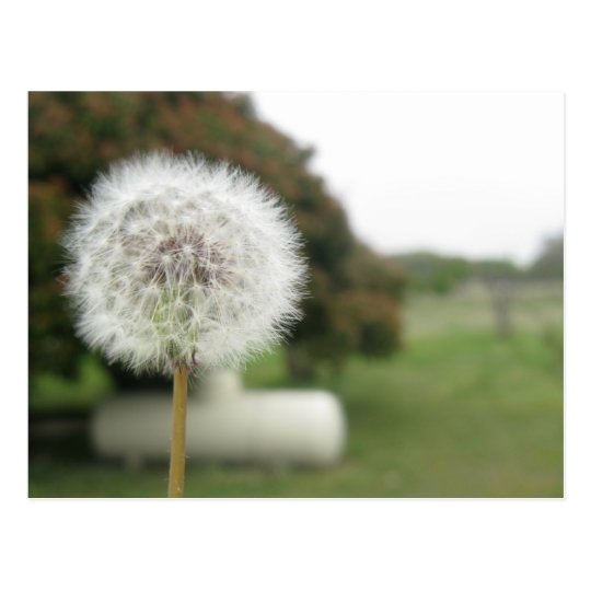 wishing postcard