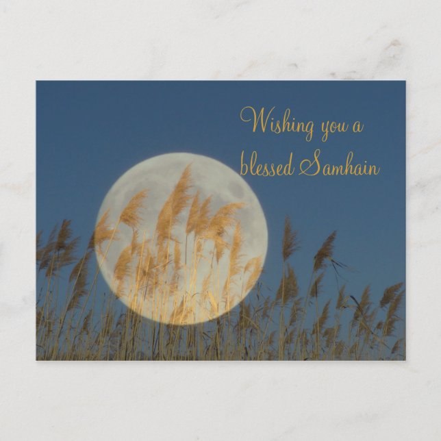 Wishing you a blessed Samhain Postcard (Front)