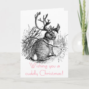 Wishing you a cuddly Christmas! Holiday Card