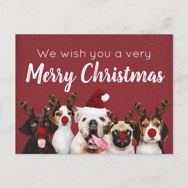 Wishing You A Merry Christmas Puppy Postcard (Front)