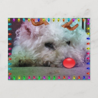 WISHING YOU A MERRY XMAS HOLIDAY POSTCARD