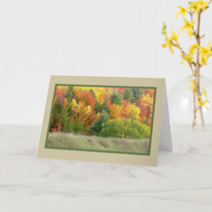 WISHING YOU BRIGHTER DAYS AHEAD/BRIGHT AUTUMN COLO CARD
