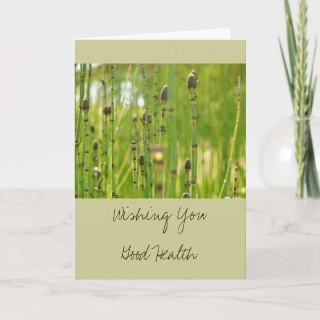 Wishing You Good Health Get Well Card (Front)