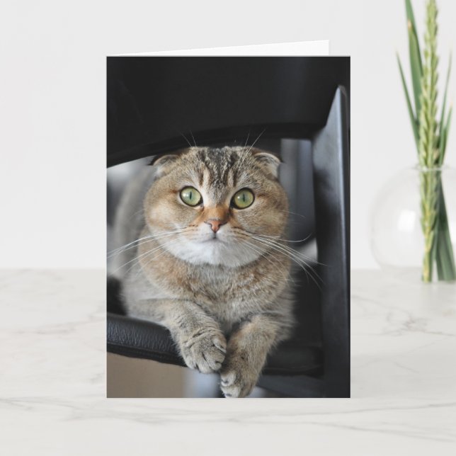 Wishing you happy birthday card (Front)