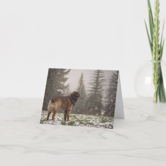 Wishing you Peace Thank You Card (Front)