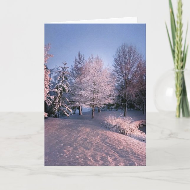 Wishing you Peace this Christmas (card) Holiday Card (Front)