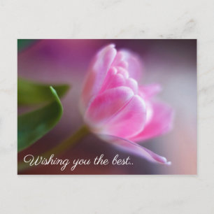Wishing you the best - Rose Birthday Card