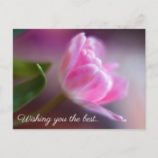 Wishing you the best - Rose Birthday Card