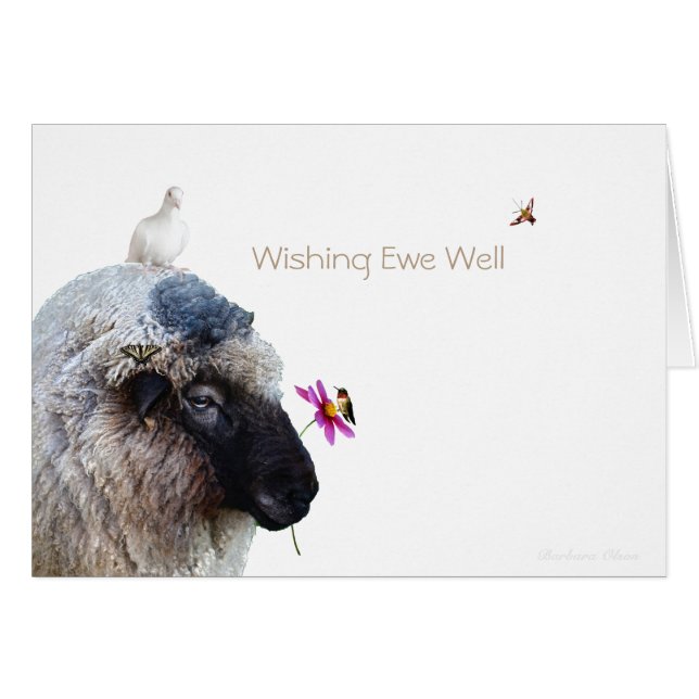 Wishing you Well: Healing Gifts of nature (Front Horizontal)
