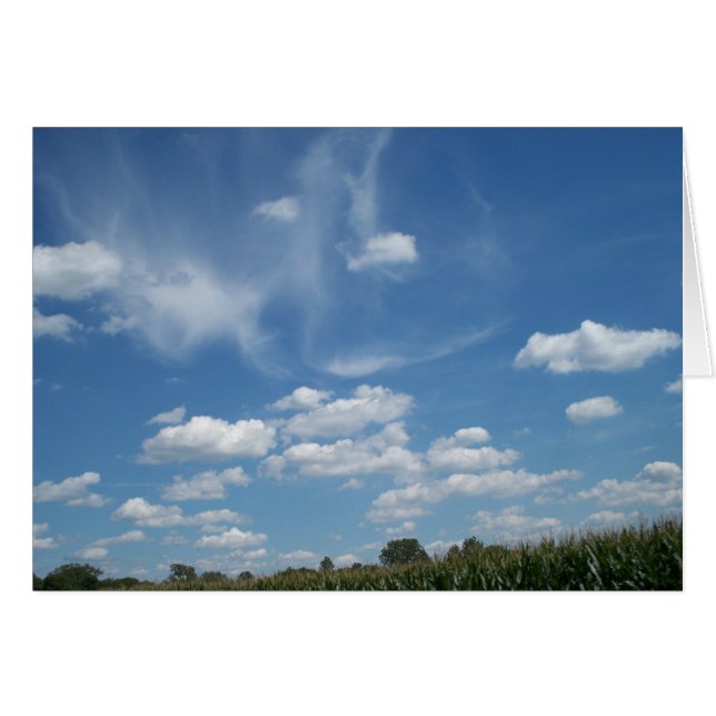 Wisp-ery Day (Front Horizontal)