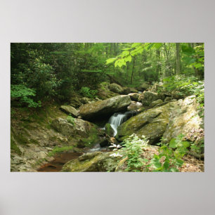 Wispering Falls Poster