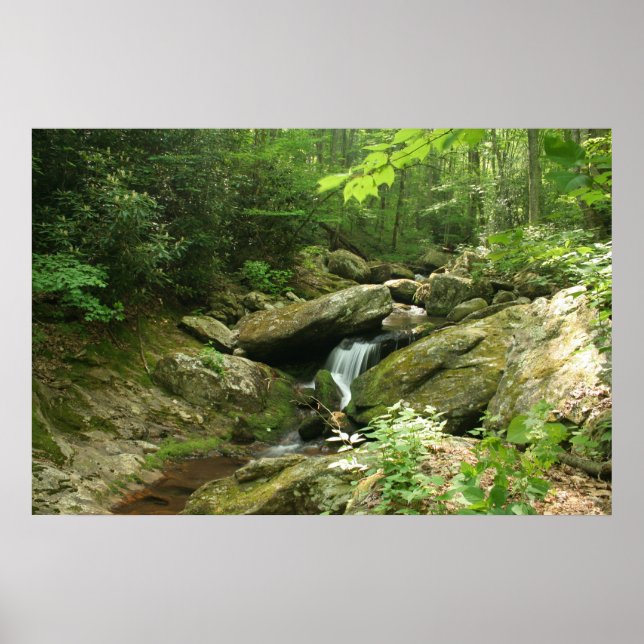 Wispering Falls Poster (Front)