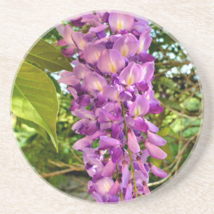 Wisteria Bloom Coaster