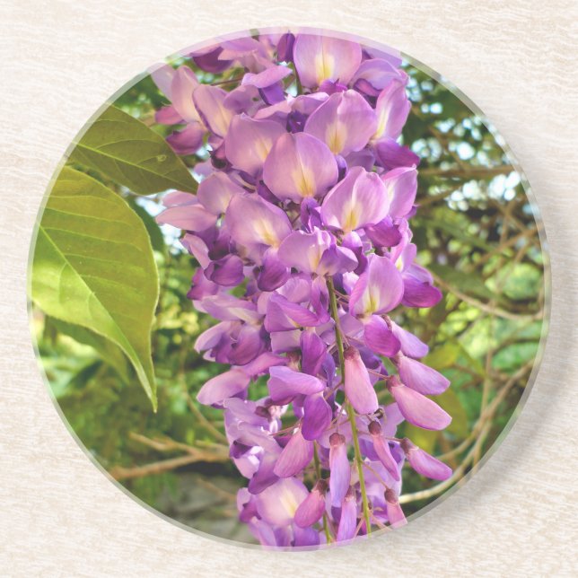 Wisteria Bloom Coaster (Front)