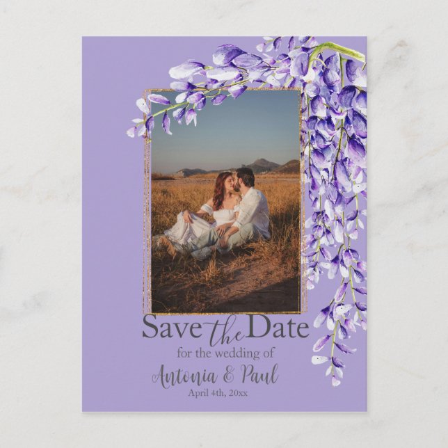 Wisteria Blooms Save the Date Photo Postcard (Front)