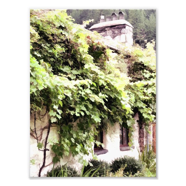 WISTERIA COTTAGE PHOTO PRINT (Front)