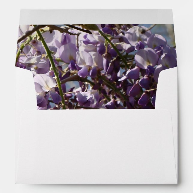 Wisteria Envelope (Back (Bottom))